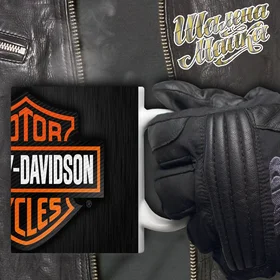 Прикольные кружки: Чашка Мото 073